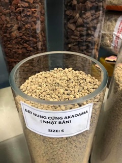 Akadama Nhật Bản