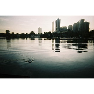 Máy ảnh Lomography Simple Use