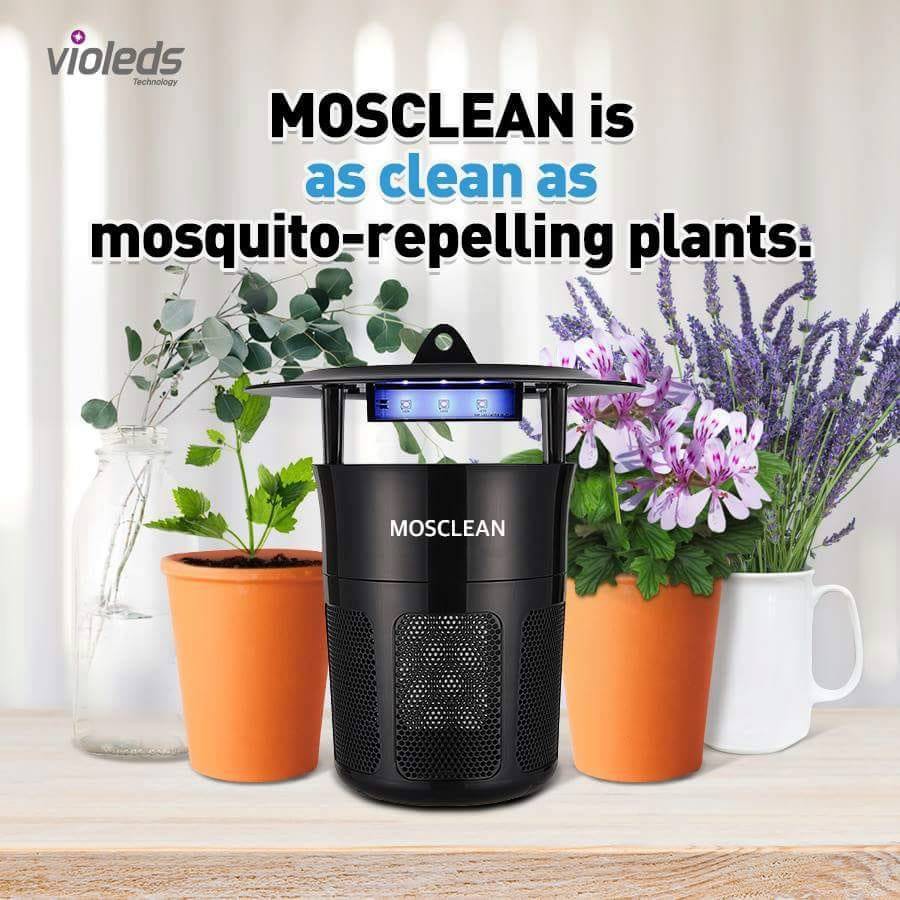 Máy bắt muỗi và diệt côn trùng UV Mosclean Violeds IS1 - Hàn Quốc Chính Hãng