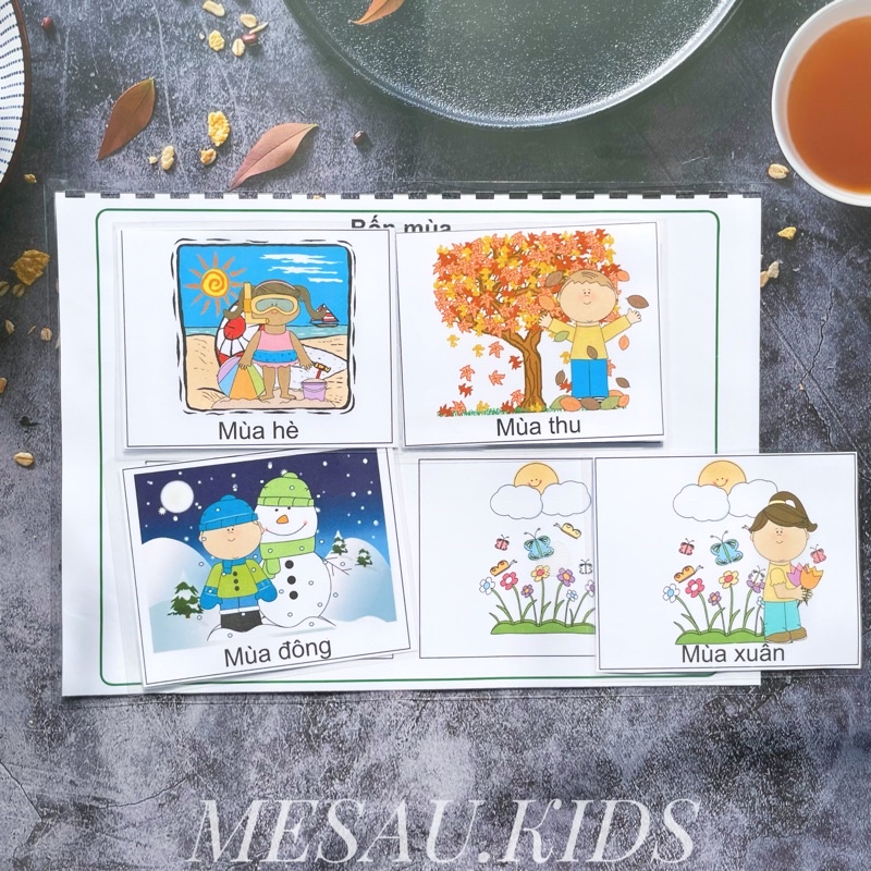 Học Liệu Bóc Dán Montessori MESAUKIDS Học Liệu Nhận Biết Tiếng Việt  Đồ Chơi Phát Triển Trí Tuệ Thông Minh Cho Bé