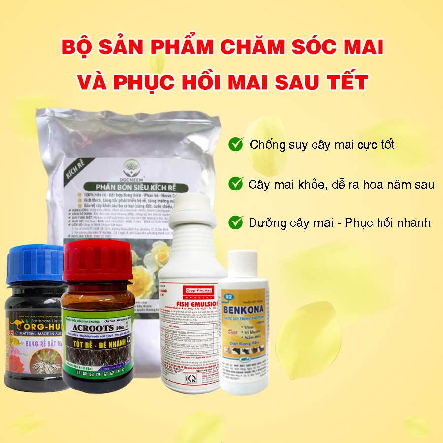 COMBO CHĂM SÓC MAI SAU TẾT VÀ PHỤC HỒI MAI SAU TẾT