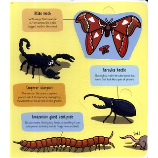 Sách - Little Explorers Bugs - Tìm hiểu về động vật