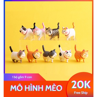 Mô hình mèo cute, nguyên bộ hoặc mua lẻ decor phòng đẹp, xả stress, trang trí siêu xinh