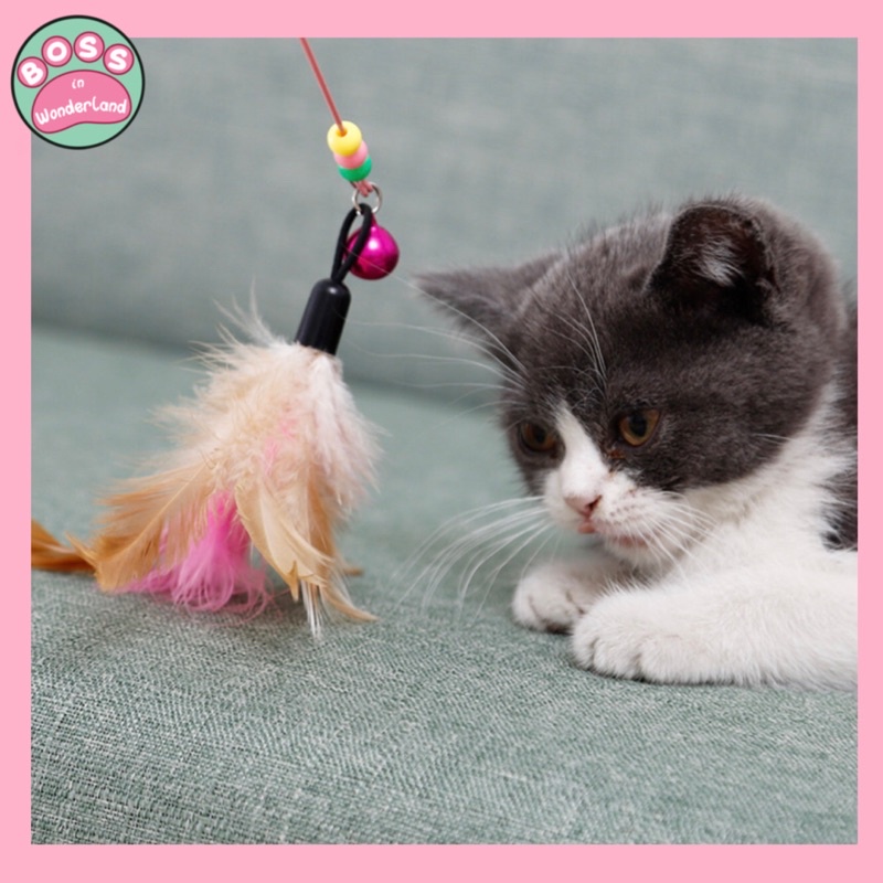 ĐỒ CHƠI CẦN CÂU LÔNG VŨ, CẦN CÂU CÁ CHO MÈO VỜN