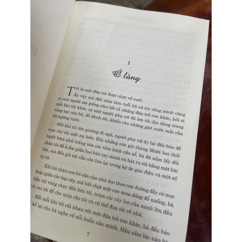 Sách - (Bìa cứng) Không gia đình (bản dịch mới, đầy đủ) – Hector Malot – Lê Việt Dũng dịch – Đinh Tị Books