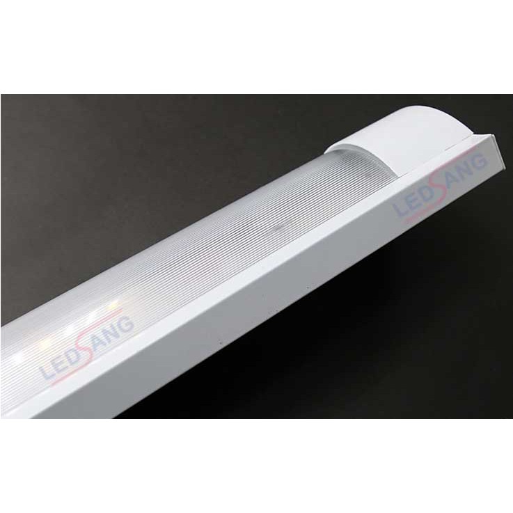 Máng đèn led 0.6m, 1.2m chống bụi đôi T8 | BigBuy360 - bigbuy360.vn