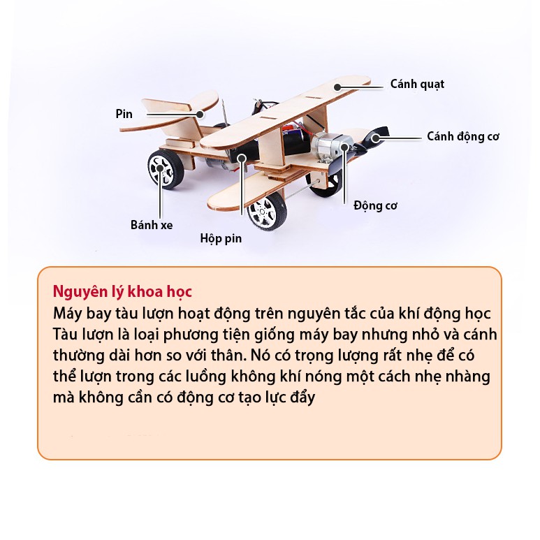 Đồ chơi khoa học STEAM tự làm máy bay tàu lượn bằng gỗ, kích thích sáng tạo và phát triển trí tuệ