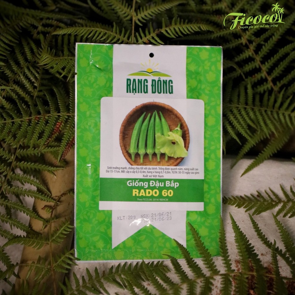 HẠT GIỐNG ĐẬU BẮP RADO 60