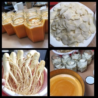 Hũ sâm tươi Hàn - Curcucmin (nghệ) - Mật ong