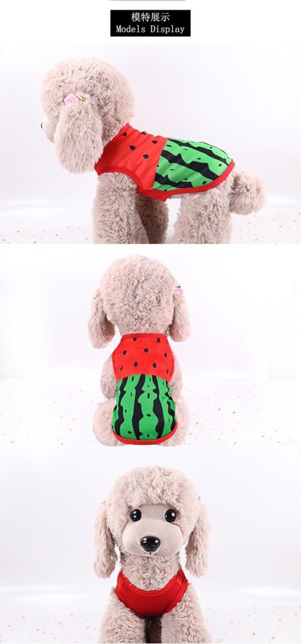 Áo Thun Dưa Hấu Cho Chó Mèo Thú Cưng