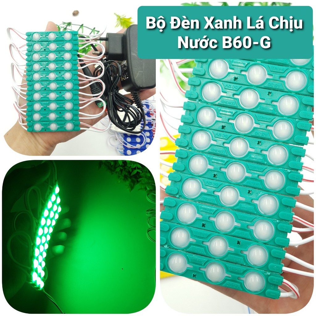 Bộ Đèn Led Chịu Nước 12V Thủy Sinh ❤️Đèn Led Bể Cá❤️Đèn Báo Sự Cố ❤️Led Trang Trí Nhà Cửa Siêu Bền | BigBuy360 - bigbuy360.vn