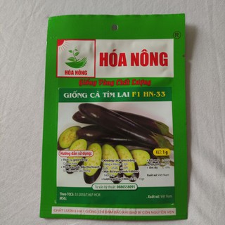 HẠT GIỐNG CÀ TÍM LAI F1