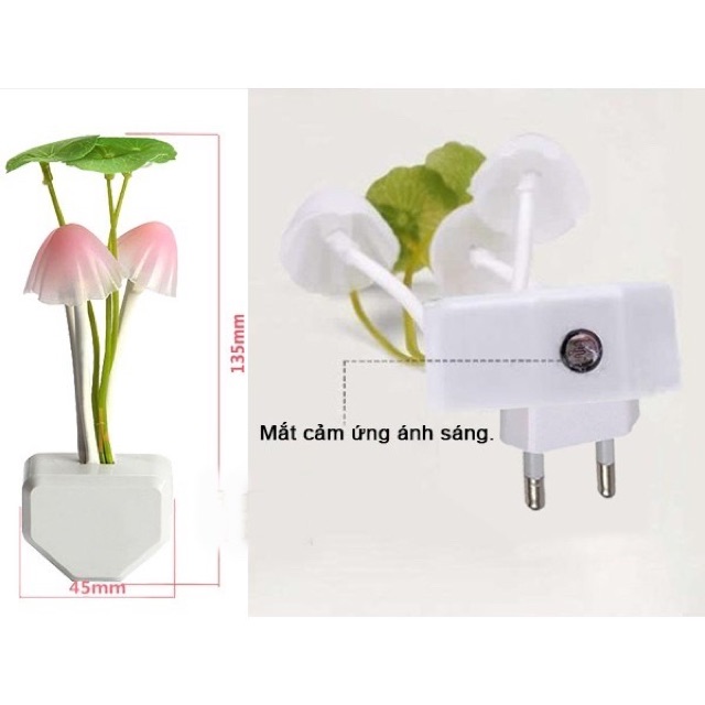 Đèn ngủ Led cảm biến ánh sáng hình Nấm