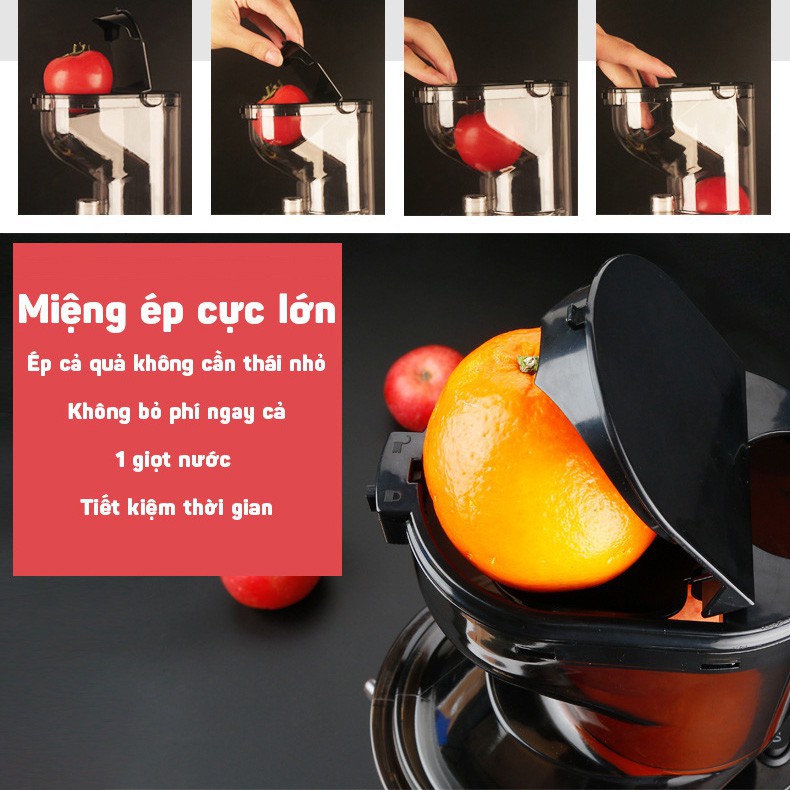 Máy ép chậm hoa quả HONGXIN RH312 , ép rau củ hoa quả, máy ép chậm trái cây đơn giản