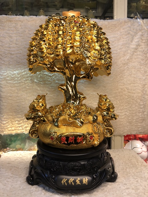 Cây kim tiền phong thuỷ cỡ đại