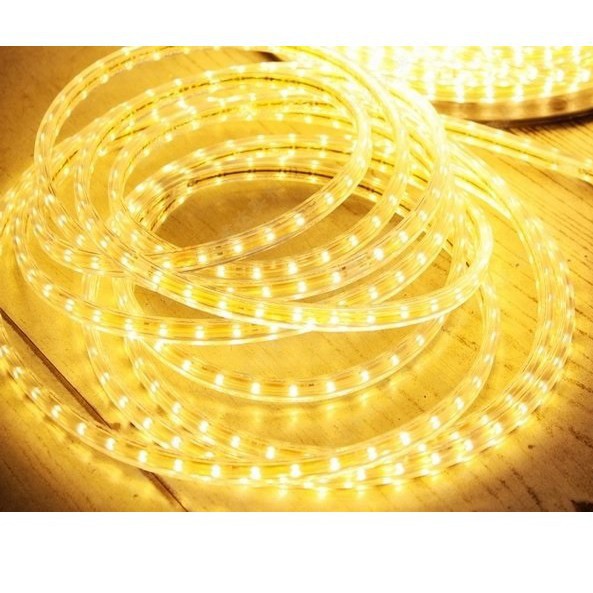 {GIÁ SẬP SÀN} Cuộn led dây đôi 2835 100M (ánh sáng vàng, trắng, xanh dương)