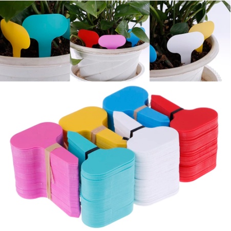 Thẻ Đánh Dấu Cây Trồng Bằng Nhựa PVC Chống Thấm Nước Có Thể Tái Sử Dụng Tiện Dụng