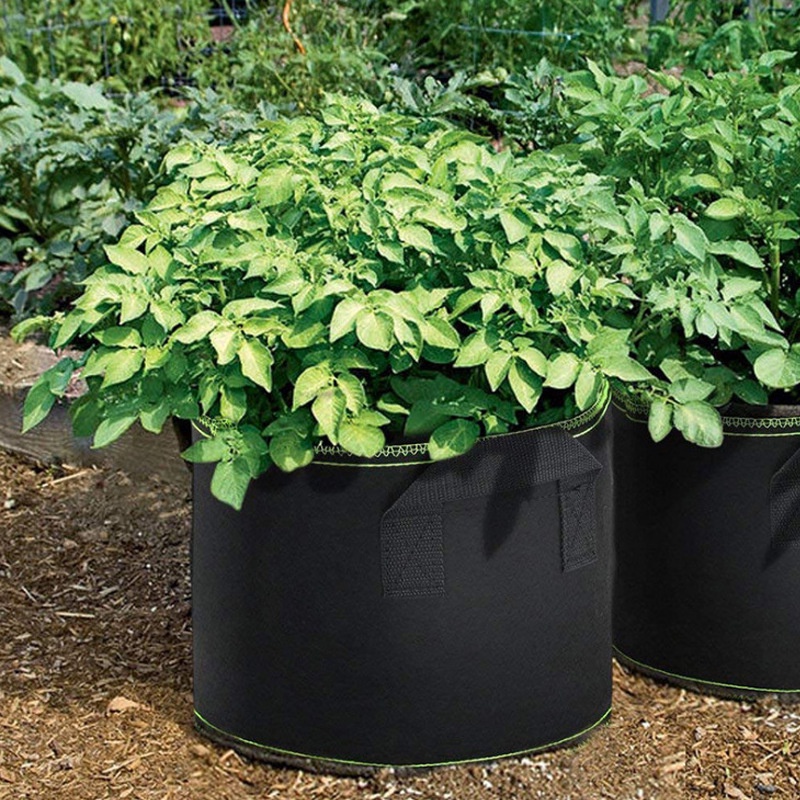 Túi vải trồng cây 30 gallon