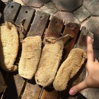 Xơ mướp rửa bát, tắm 10-12cm