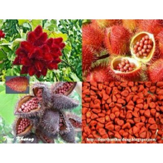 100g hạt điều tạo màu