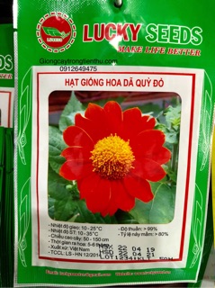 HẠT GIỐNG HOA DÃ QUỲ ĐỎ