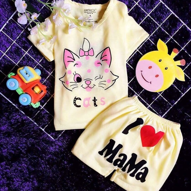 Sỉ bộ 25 bộ cotton 