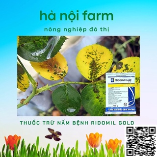 Ridomil Gold 68WP( Đặc trị thối nhũn Nấm bệnh cây trồng ) gói 100g