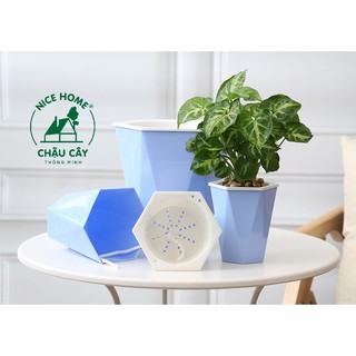 Chậu cây tự dưỡng thông minh - U03