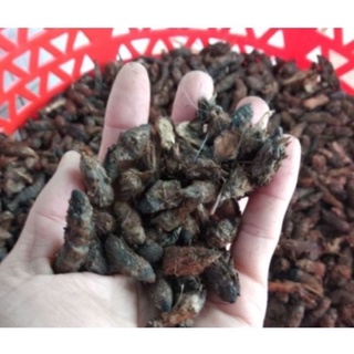 CỦ GẤU( HƯƠNG PHỤ) loại 1(mới, sạch, đẹp) [1kg]