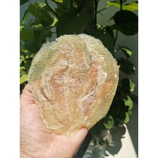 Cá bò khô 500Gram, Cá chuẩn loại 1, đặc biệt ngon dẻo, đảm bảo chất lượng.