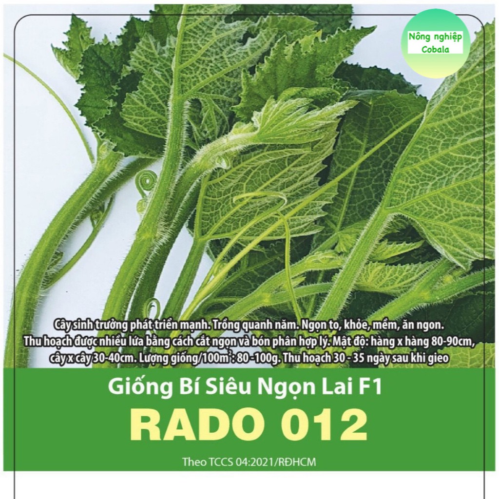 Hạt Giống Rau Bí Siêu Ngọn Giòn Ngọt, Năng Suất Cao 5gr