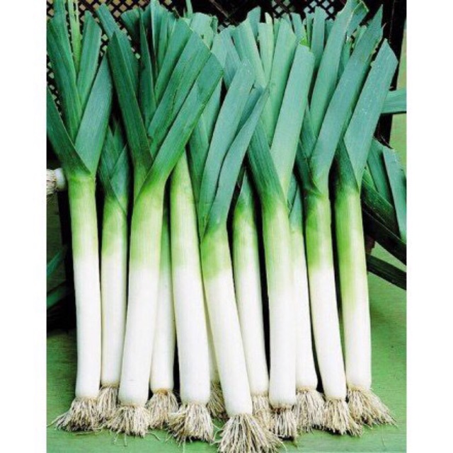 Hạt giống tỏi tây - hành boro- gói 2gr