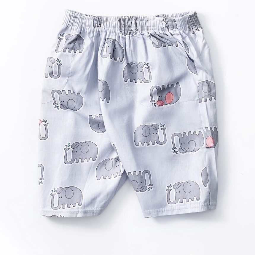 Quần Short Nam Ngắn Cotton Cao Cấp Nhiều Màu Đẹp VESCA