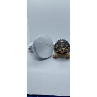Bóng Đèn UVA 10.0 ( 75W ) - [ Sưởi cho Bò Sát, Chó, Mèo, Cá, Chuột ]
