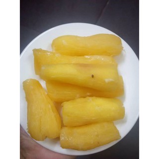CÂY GIỐNG KHOAI SĂN (MÌ) RUỘT VÀNG