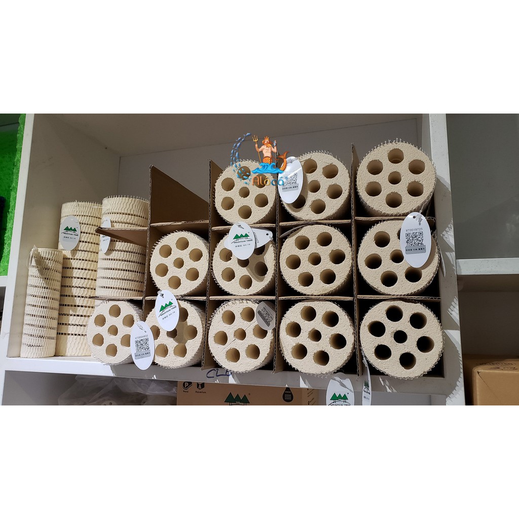 Thùng 6 thanh, thùng 15 thanh sứ lọc thanh củ sen thế hệ 2 cỡ to 8x25cm Mountain Tree Lotus Root Bacteria House