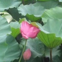 yueyue888.vn