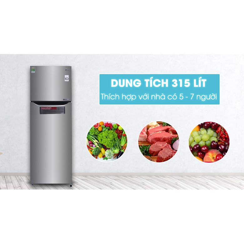 Tủ lạnh LG Inverter 315 lít GN-L315PS