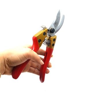 Kìm cắt cành kapusi k-0855