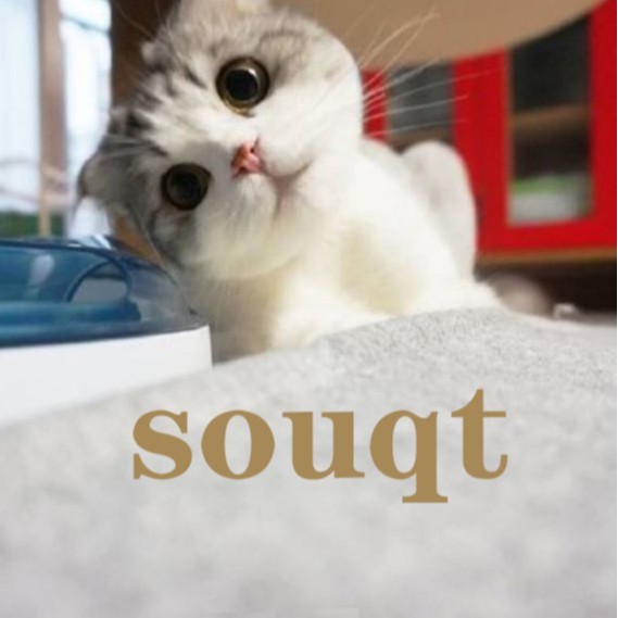 Cửa hàng thú cưng11