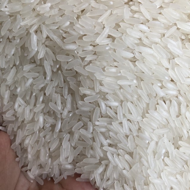 Gạo tám thái đỏ 10kg (gạo mới)