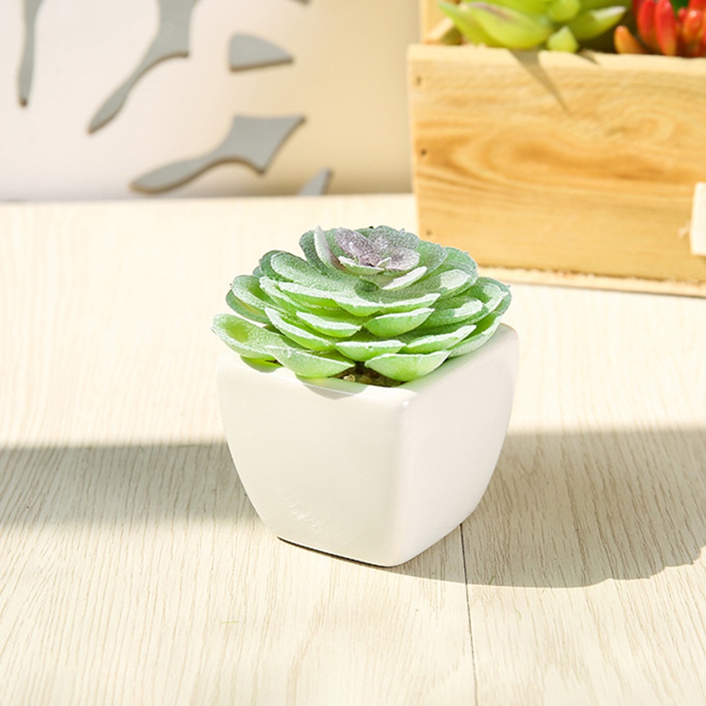 Chậu sen đá giả dùng để trang trí nội thất / văn phòng / ban công