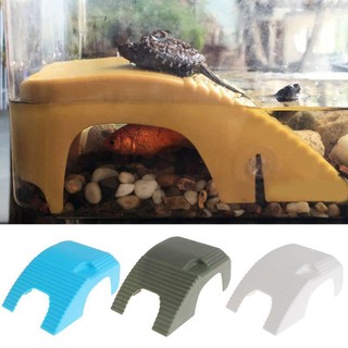 [hot sale]Bệ đứng phơi nắng cho rùa