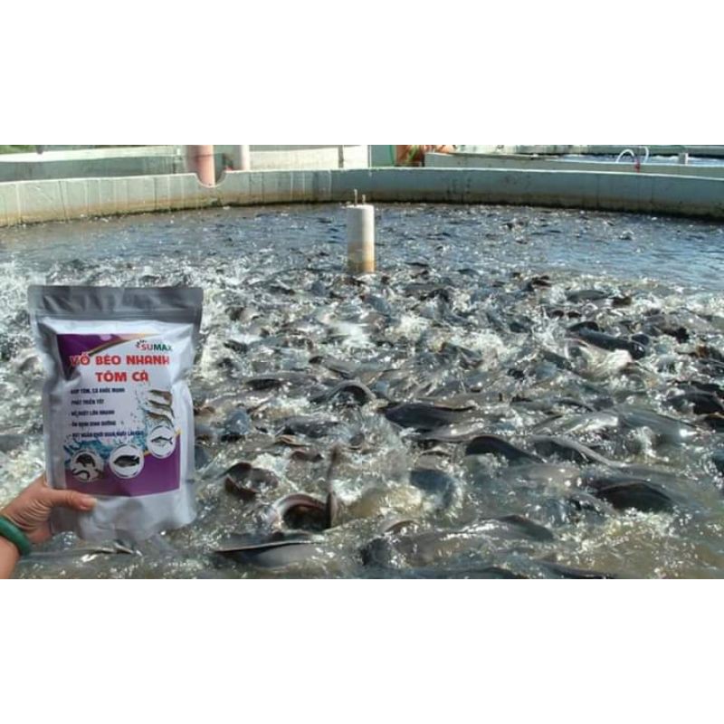 Siêu vỗ béo tăng trọng tôm cá 1kg