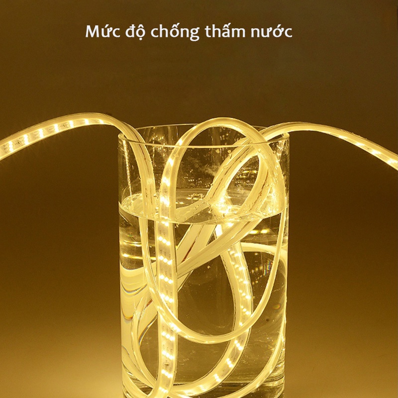 Đèn Led dây đôi 5730 siêu sáng 2 hàng