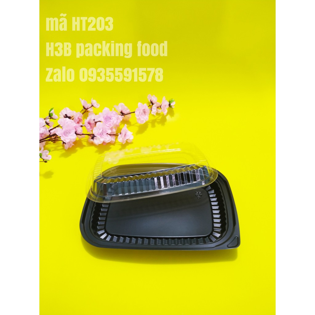 Hộp Nhựa HT203 /50 hộp