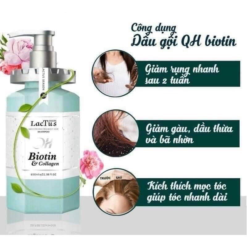 Dầu Gội Biotin Lactus Season Giảm Rụng Tóc, Ngăn Gàu Dưỡng Ẩm QH lactus Season Biotin Collagen Cặp 650ml.
