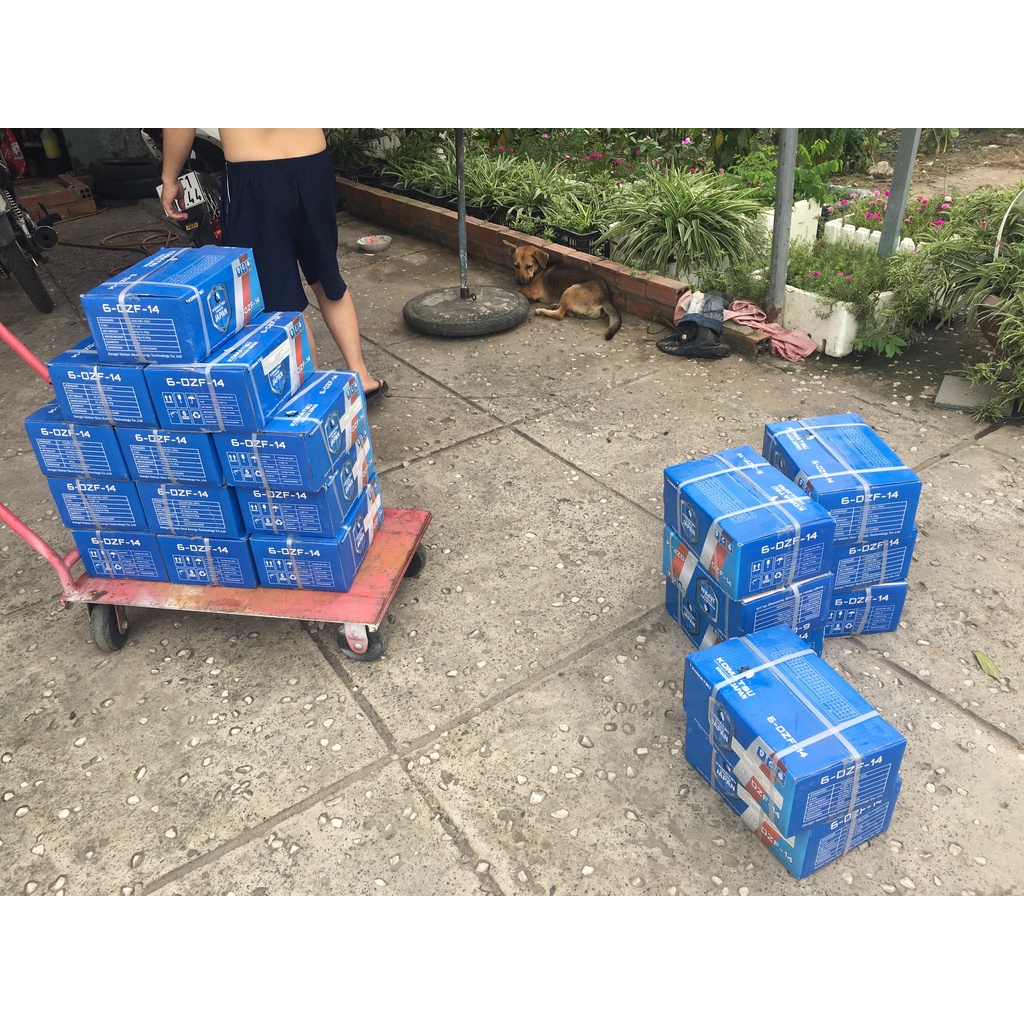 Bình Acquy xe đạp điện 12v 12ah các loại - Ngẫu nhiên