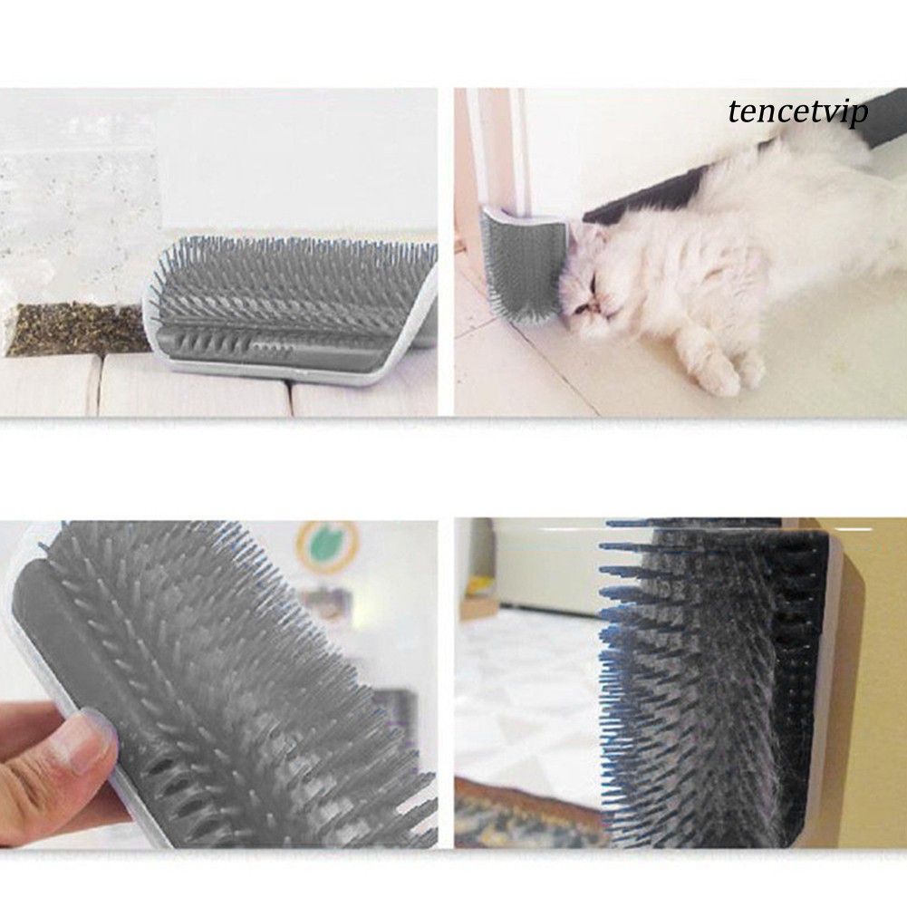 Đồ chơi lược chải lông và mát xa tiện dụng cho mèo