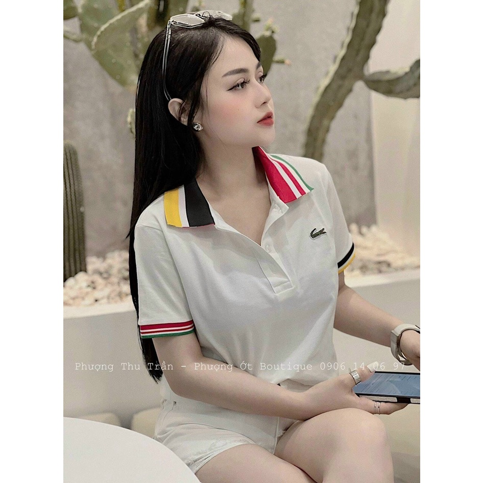 áo polo cá sấu cổ trụ viền ngắn tay